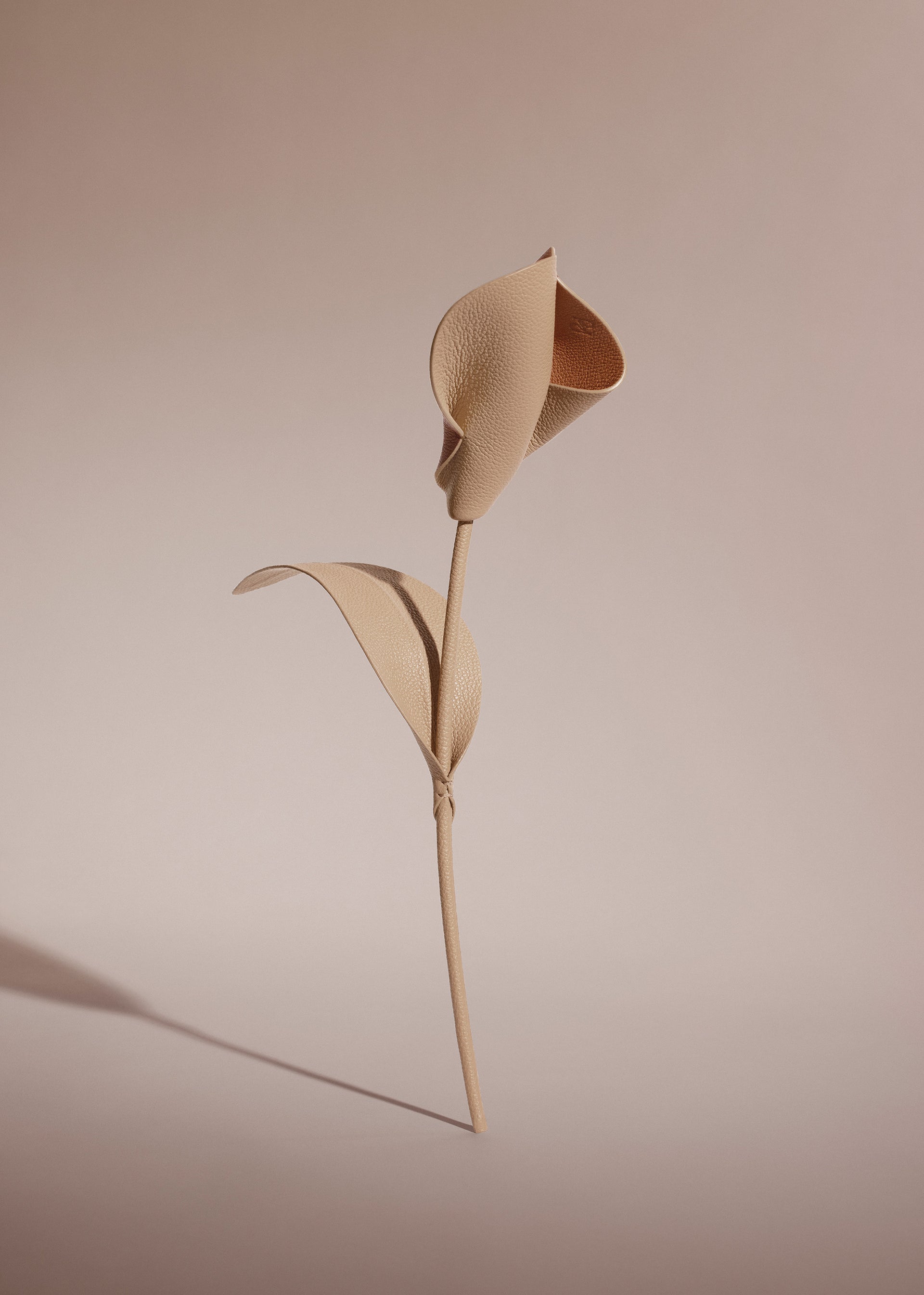 Fleur Pili - Duo Beige