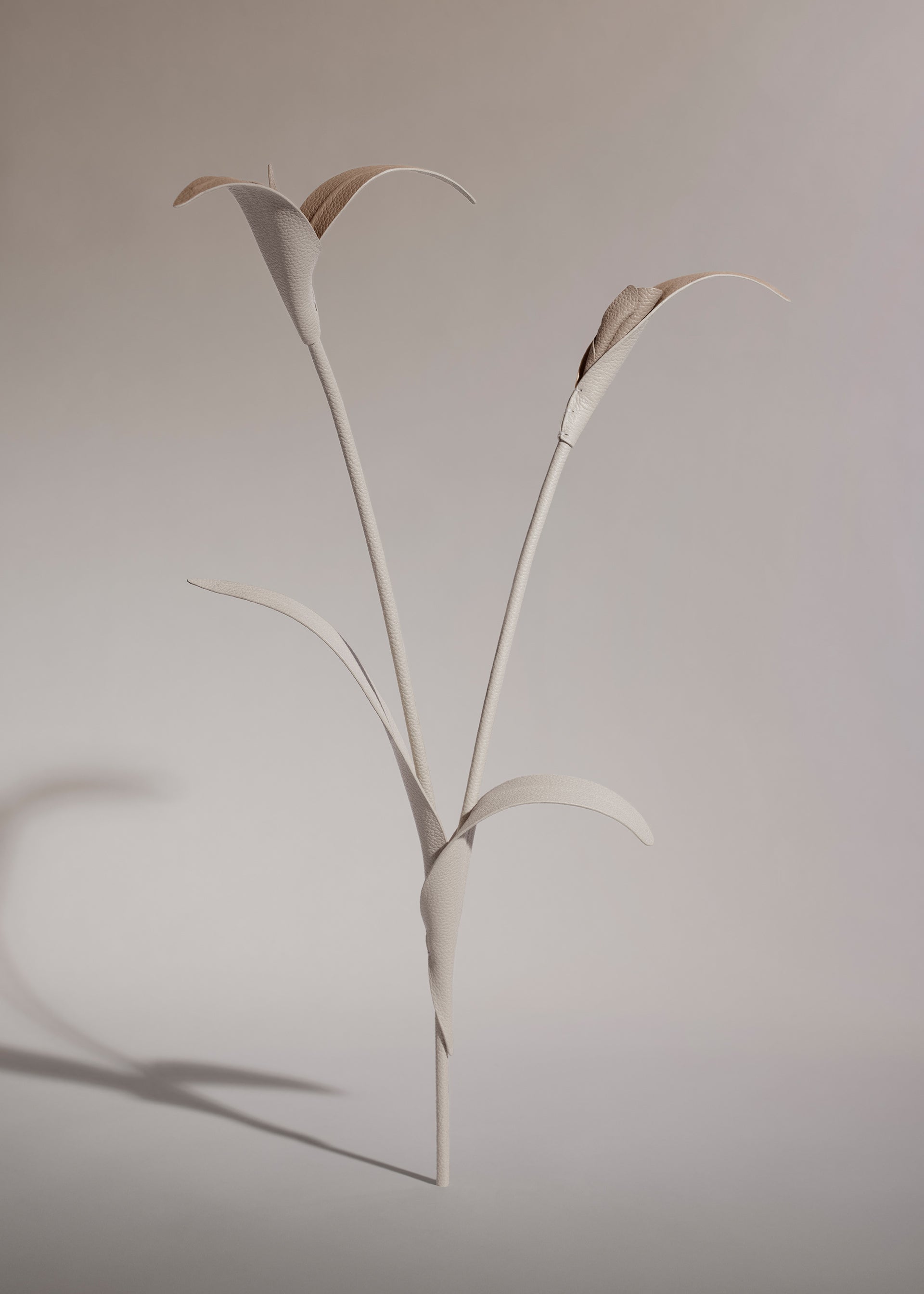 Fleur Touka - Trio Craie
