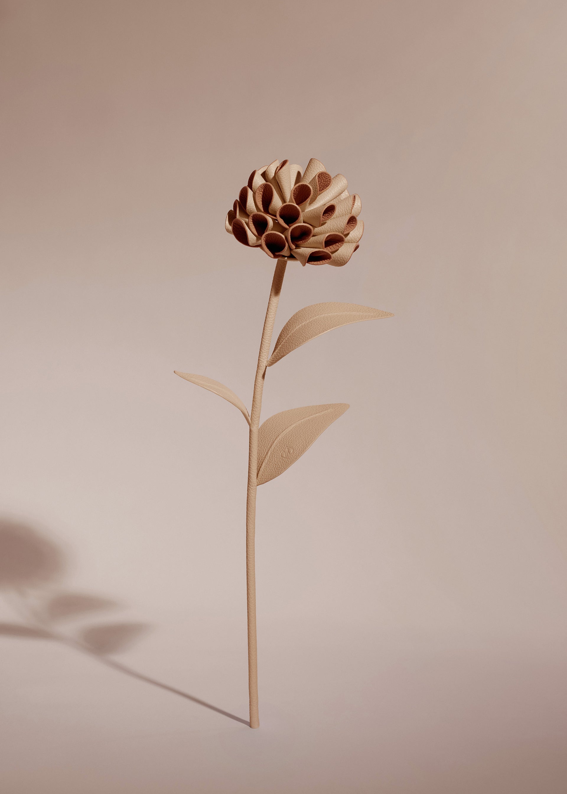 Fleur Dalium - Duo Beige