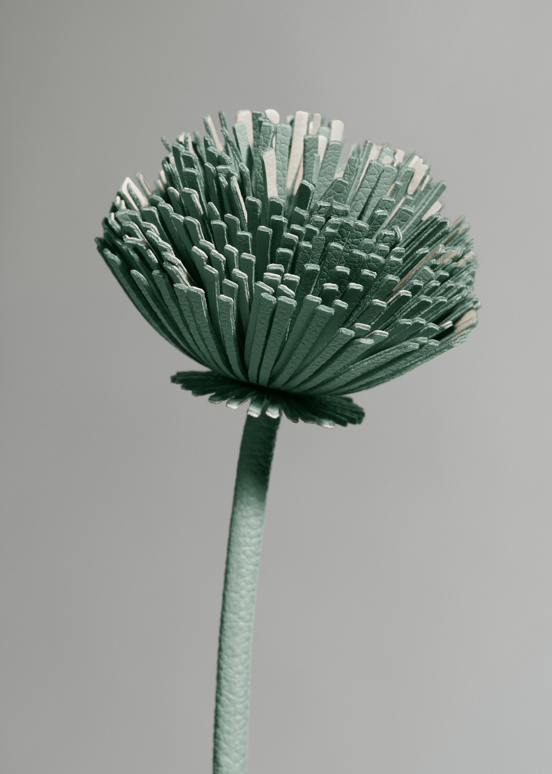 Fleur Tul - Amande Fraîche