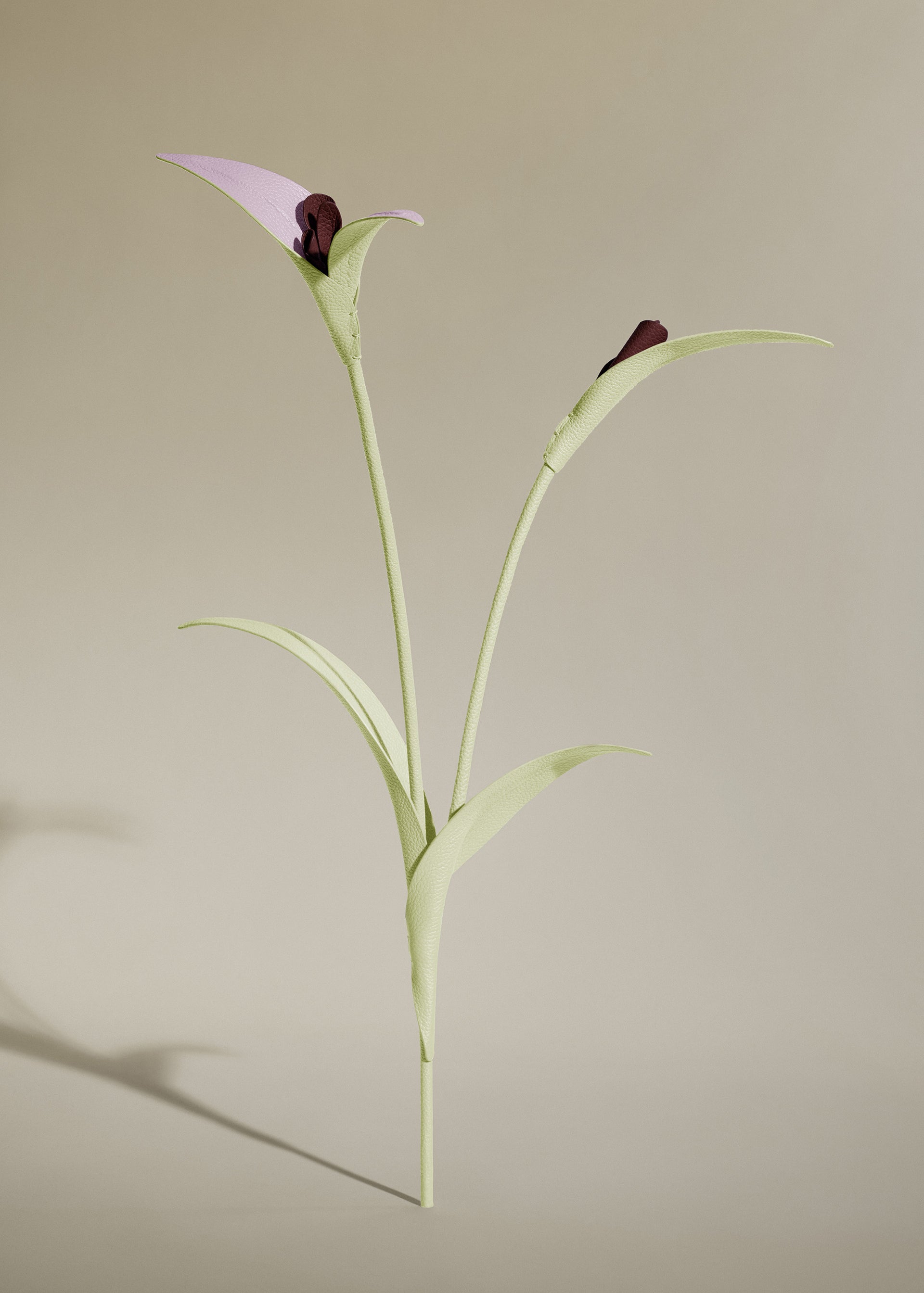 Fleur Touka - Aloe
