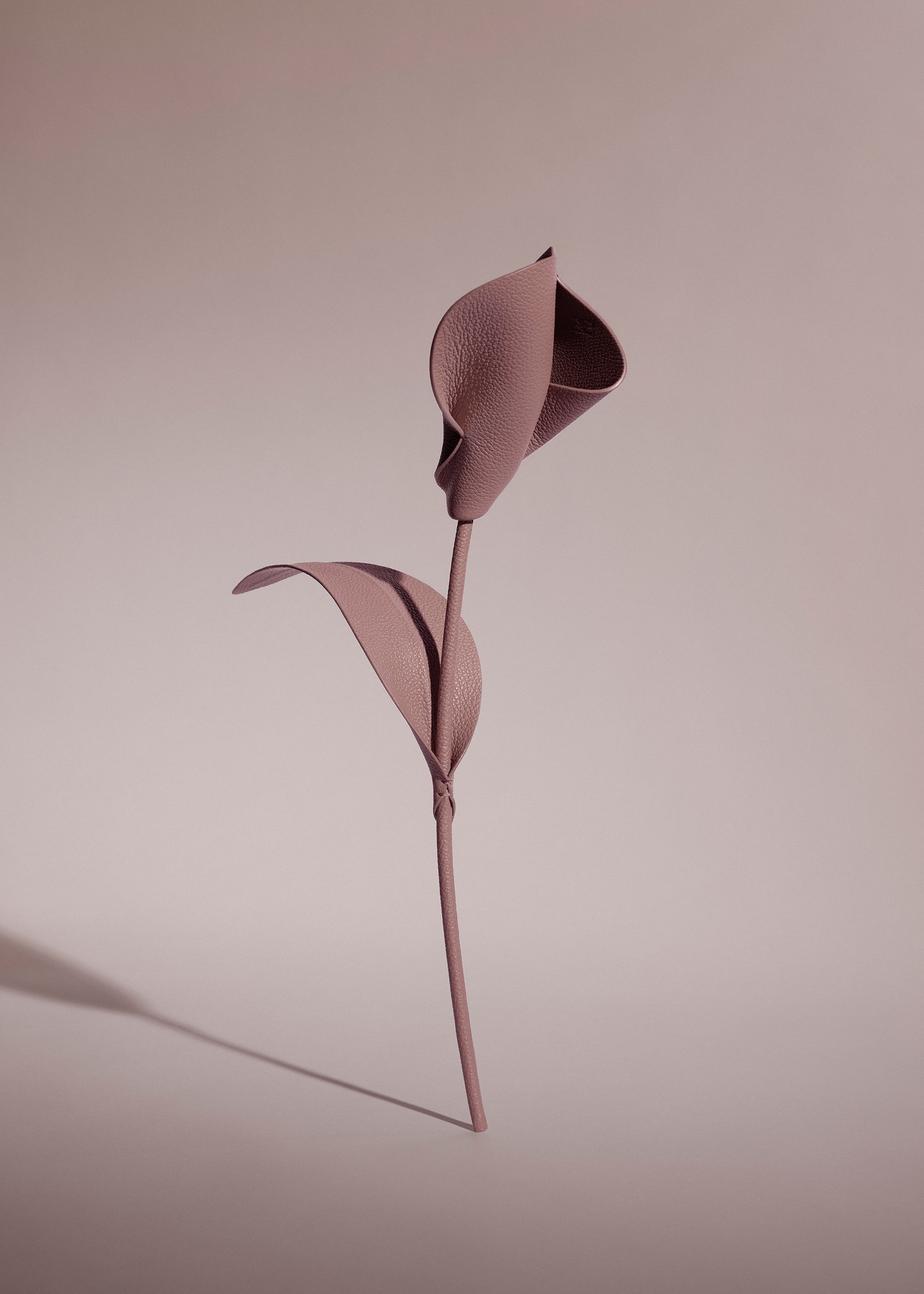 Fleur Pili - Duo Lilas