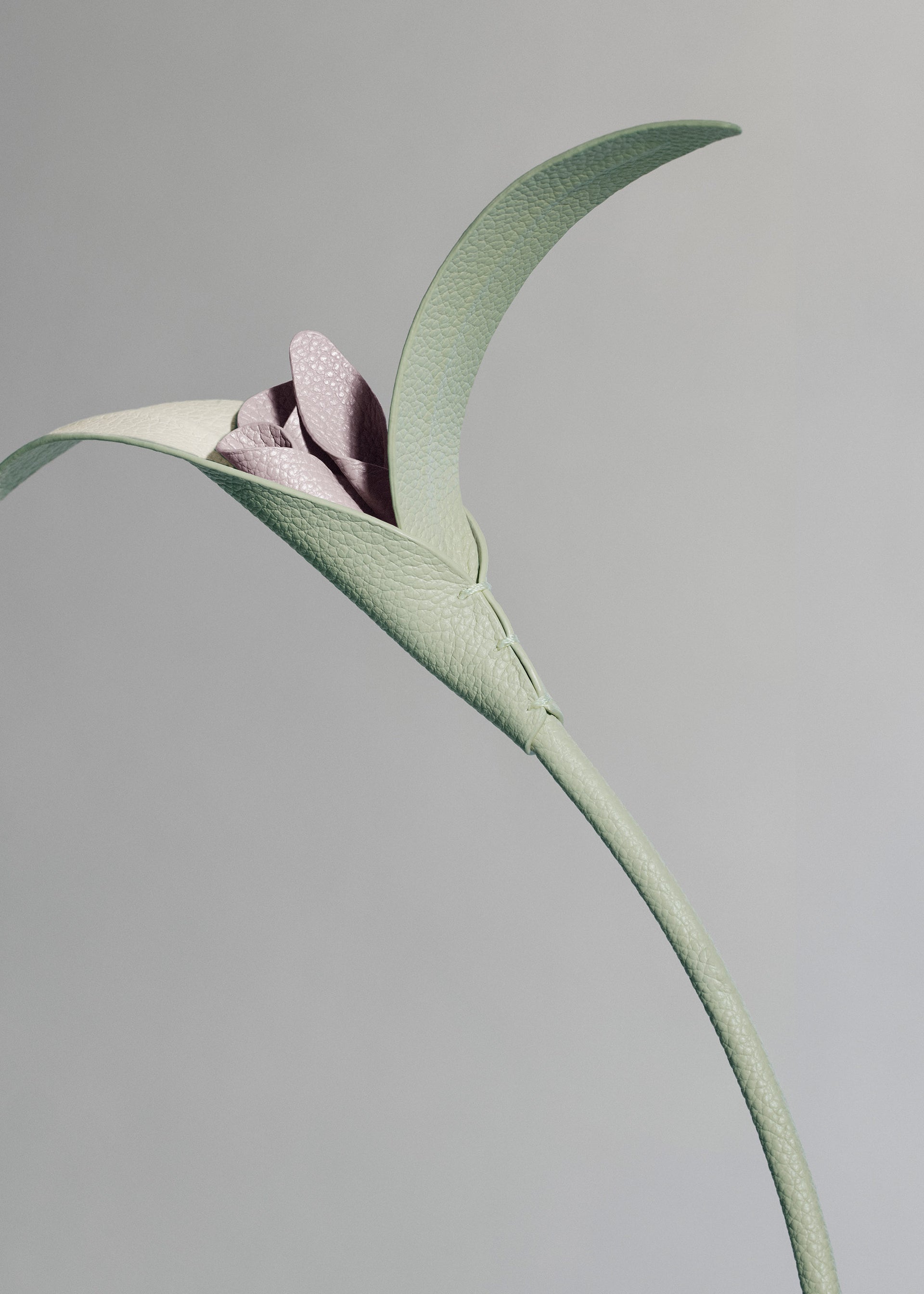 Fleur Touka - Trio Amande Fraîche