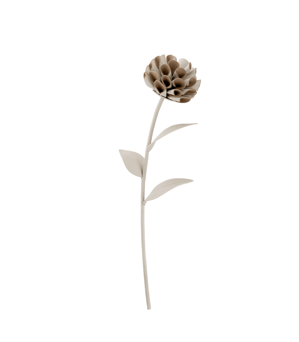Fleur Dalium - Duo Craie Grainé