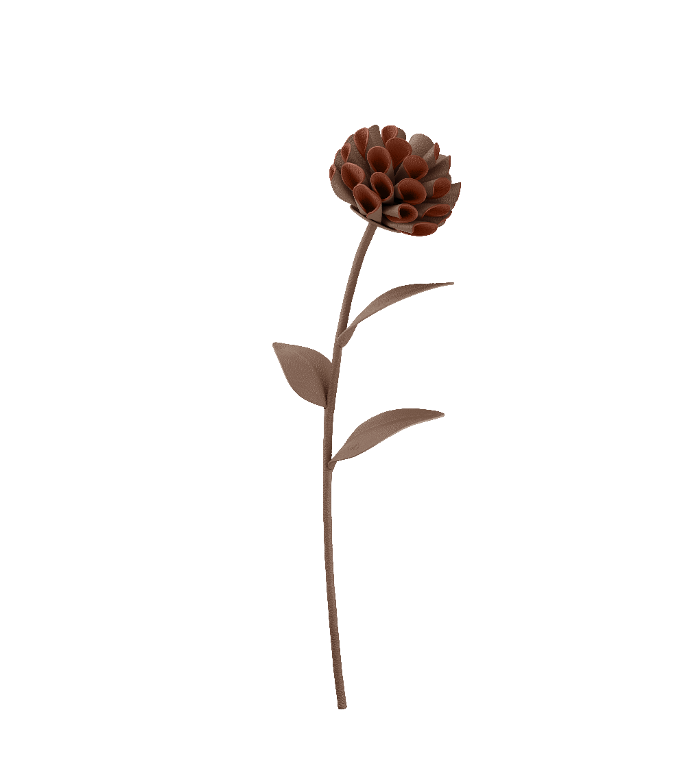 Fleur Dalium - Racine