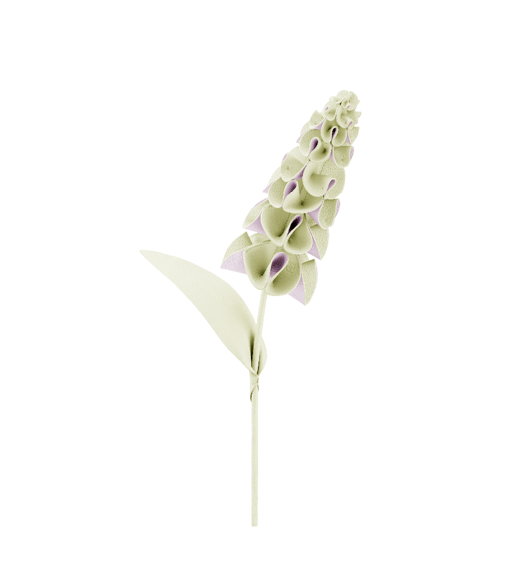 Fleur Orki - Aloe