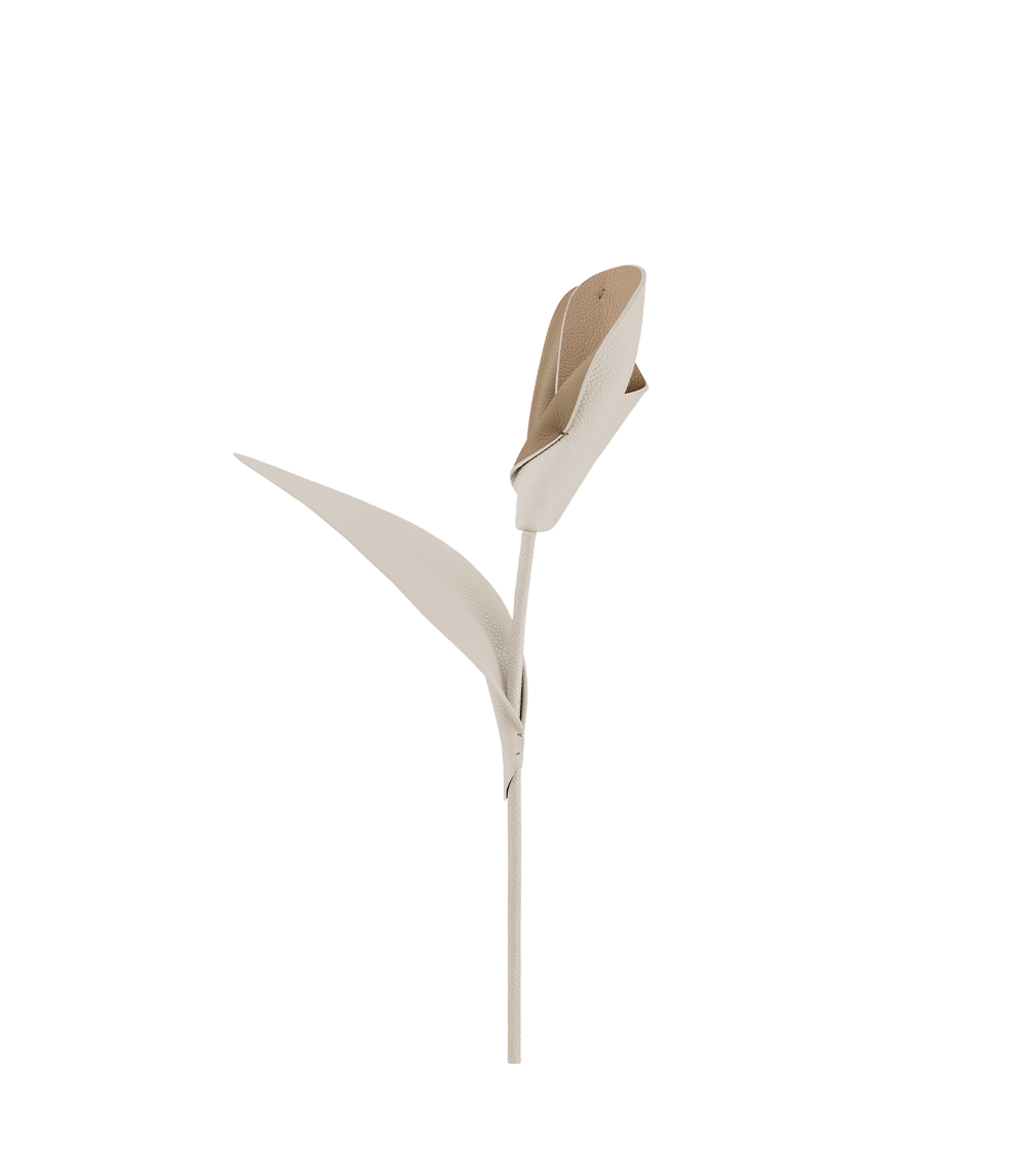 Fleur Pili - Duo Craie Grainé
