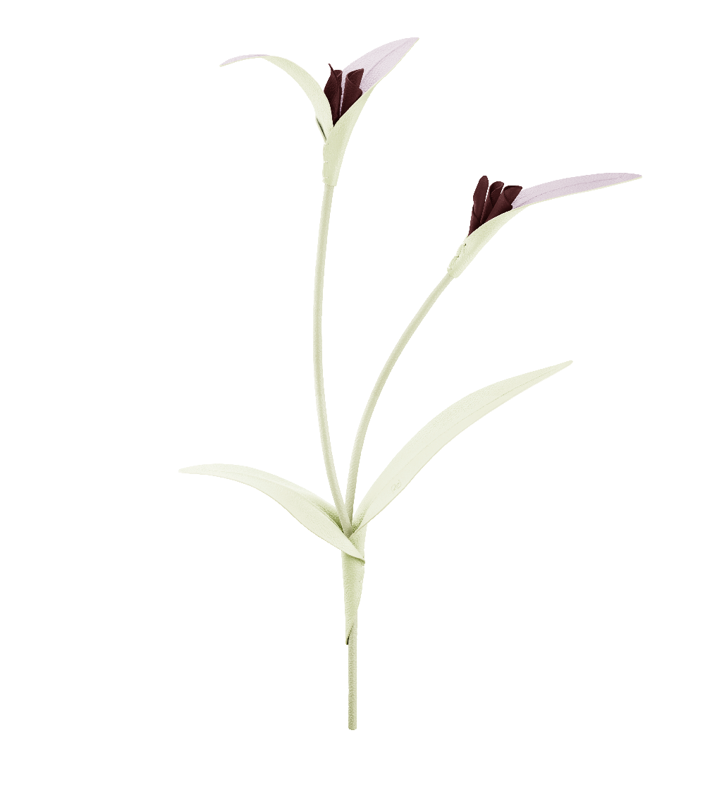 Fleur Touka - Aloe