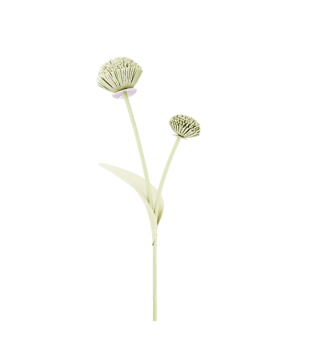 Fleur Tul - Aloe